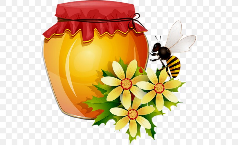 Honey Bee Honeycomb Clip Art, PNG, 530x500px, Bee, Beehive, Beeswax, Brush Footed Butterfly, Cut Flowers Download Free
