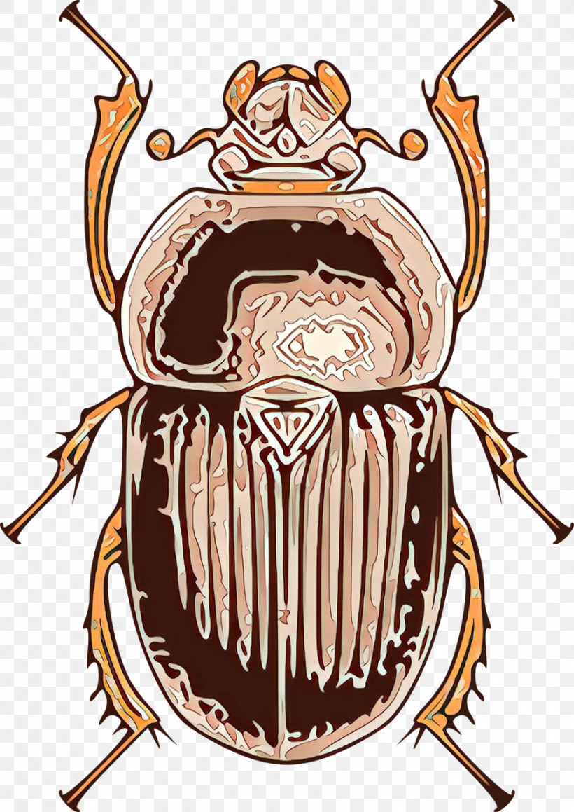 Insect Cartoon Beetle Stag Beetles Cockroach, PNG, 905x1280px, Insect, Beetle, Cartoon, Cockroach, Darkling Beetles Download Free