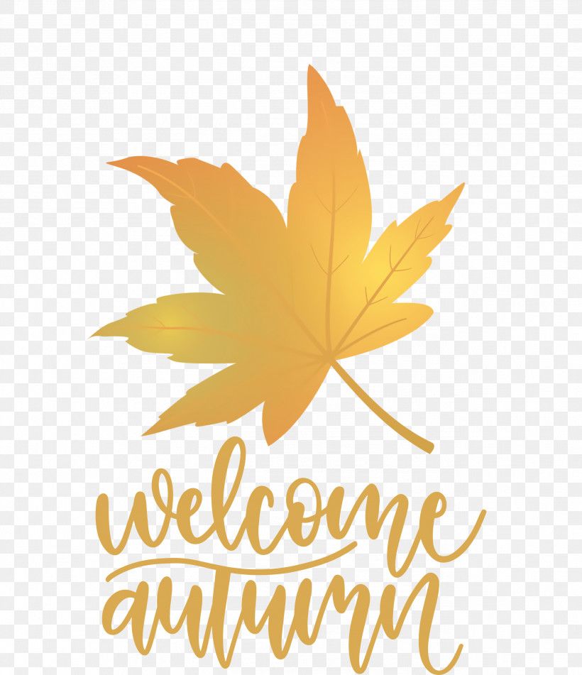Welcome Autumn Autumn, PNG, 2586x3000px, Welcome Autumn, Autumn, Biology, Flower, Leaf Download Free