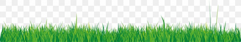 Wheatgrass Green Wallpaper, PNG, 2124x377px, Wheatgrass, Computer, Grass, Grass Family, Green Download Free