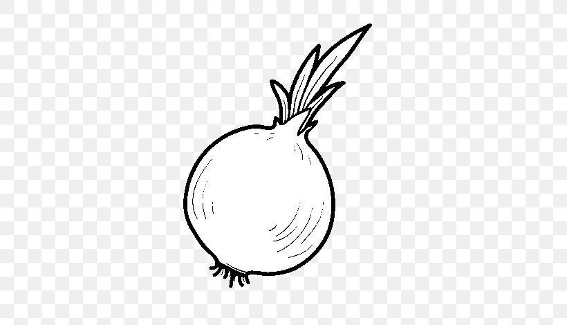 Drawing Onion Coloring Book Food Vegetable, PNG, 600x470px, Drawing, Allium, Art, Blackandwhite, Carrot Download Free
