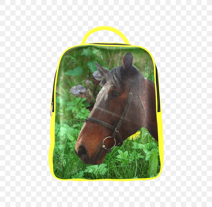 Mustang Bridle Stallion Halter Rein, PNG, 800x800px, 2019 Ford Mustang, Mustang, Bridle, Ford Mustang, Grass Download Free