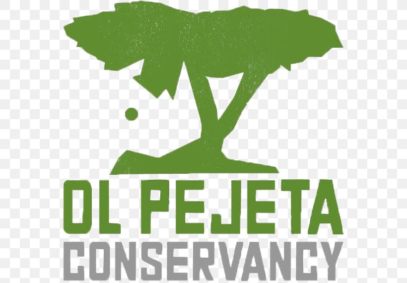 Ol Pejeta Conservancy Logo Non-profit Organisation Wildlife Management In Kenya International Anti-Poaching Foundation, PNG, 566x570px, Logo, Brand, Grass, Green, Leaf Download Free