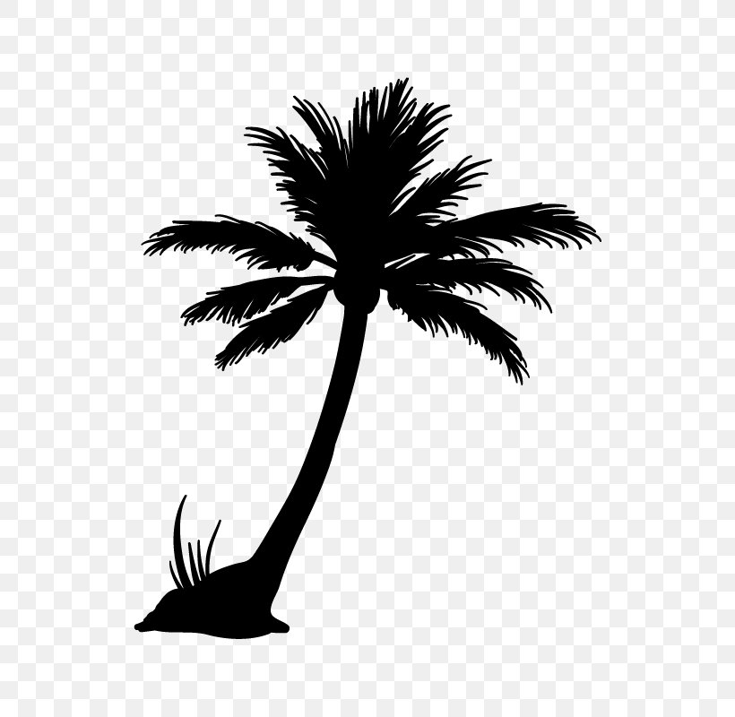 Arecaceae Silhouette Coconut, PNG, 800x800px, Arecaceae, Arecales, Black And White, Borassus Flabellifer, Branch Download Free