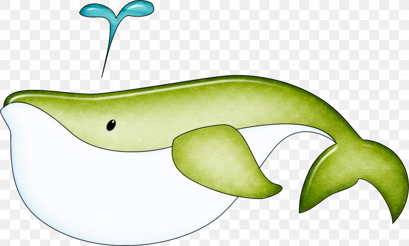 Cartoon U5357u4eacu6d77u5e95u4e16u754c Whale, PNG, 2253x1356px, Cartoon, Animal, Animation, Baleen Whale, Dolphin Download Free