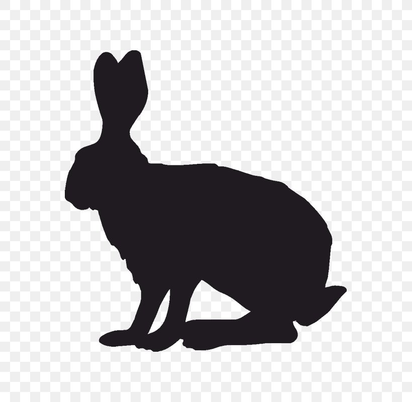 Domestic Rabbit Indian Hare Silhouette Clip Art, PNG, 800x800px, Domestic Rabbit, Black, Black And White, Canidae, Dog Like Mammal Download Free