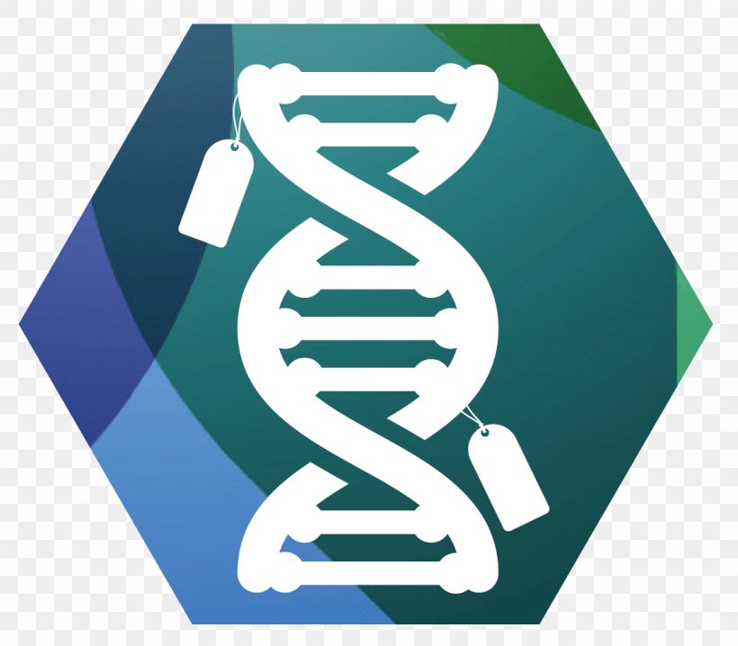 Epigenetics DNA Methylation Mutation, PNG, 1126x987px, Epigenetics, Blue, Brand, Cause, Dna Download Free