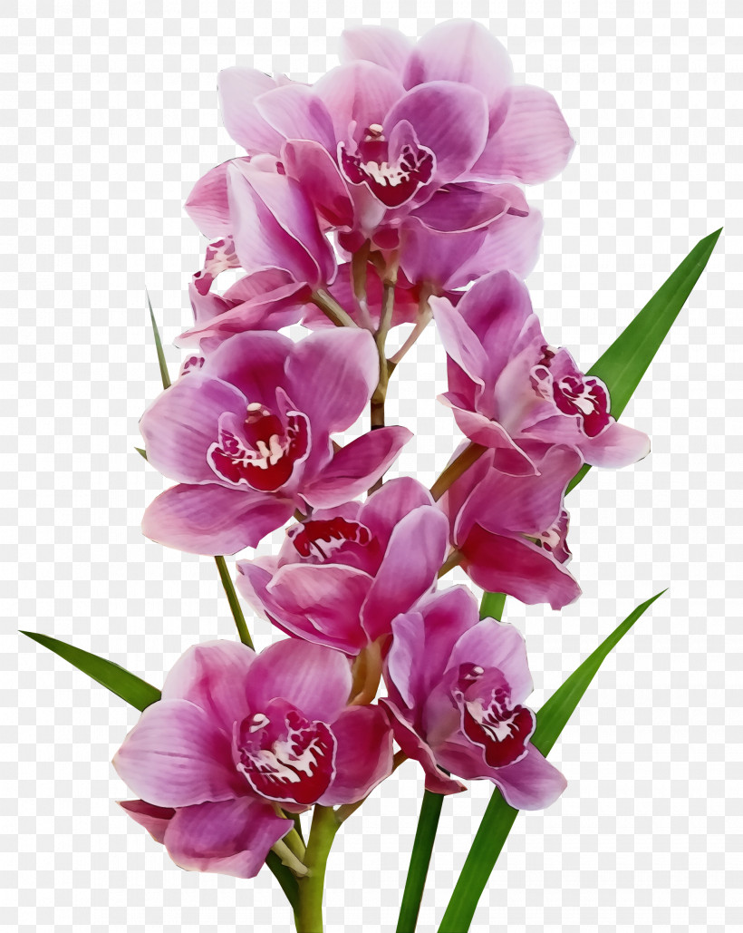 Floral Design, PNG, 2040x2560px, Watercolor, Cut Flowers, Dendrobium, Diwali, Floral Design Download Free