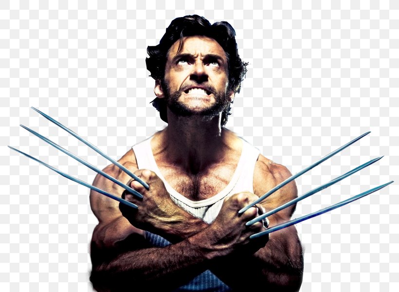 Hugh Jackman The Wolverine Deadpool, PNG, 800x600px, Hugh Jackman, Beard, Deadpool, Facial Hair, Film Download Free
