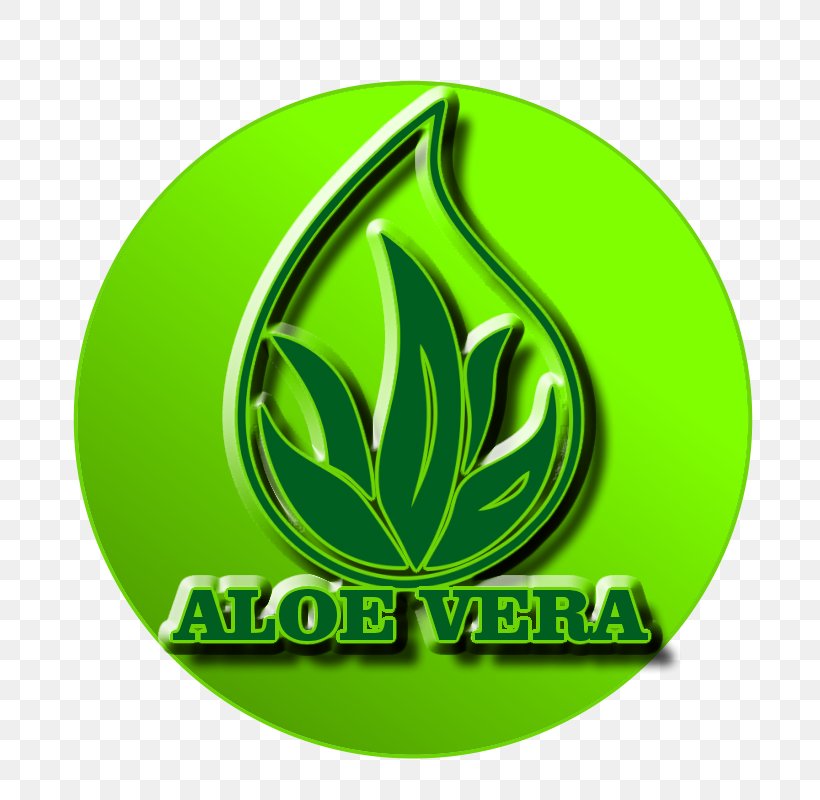Logo Leaf Brand Circle Font, PNG, 800x800px, Logo, Brand, Grass, Green, Leaf Download Free