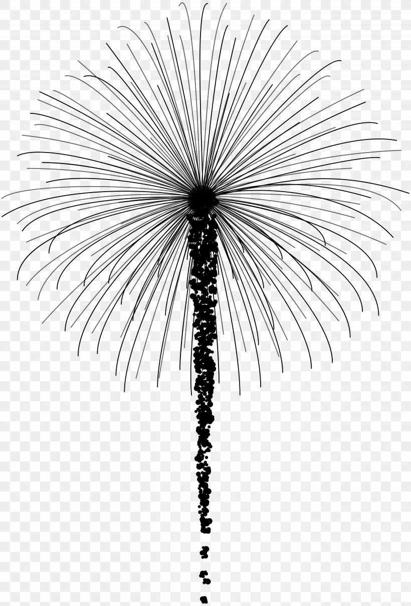 Asian Palmyra Palm Date Palm Line Leaf Symmetry, PNG, 5428x8000px, Asian Palmyra Palm, Arecales, Blackandwhite, Borassus, Botany Download Free