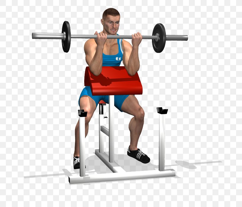 Barbell Bench Shoulder Biceps Panca Scott, PNG, 700x700px, Watercolor, Cartoon, Flower, Frame, Heart Download Free