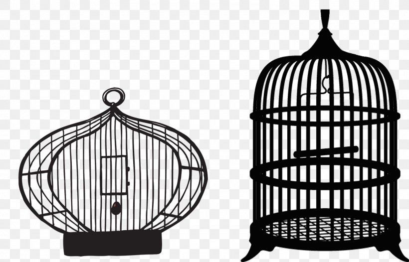 Birdcage Parrot Domestic Canary Clip Art, PNG, 1600x1027px, Bird, Birdcage, Black And White, Cage, Computer Download Free