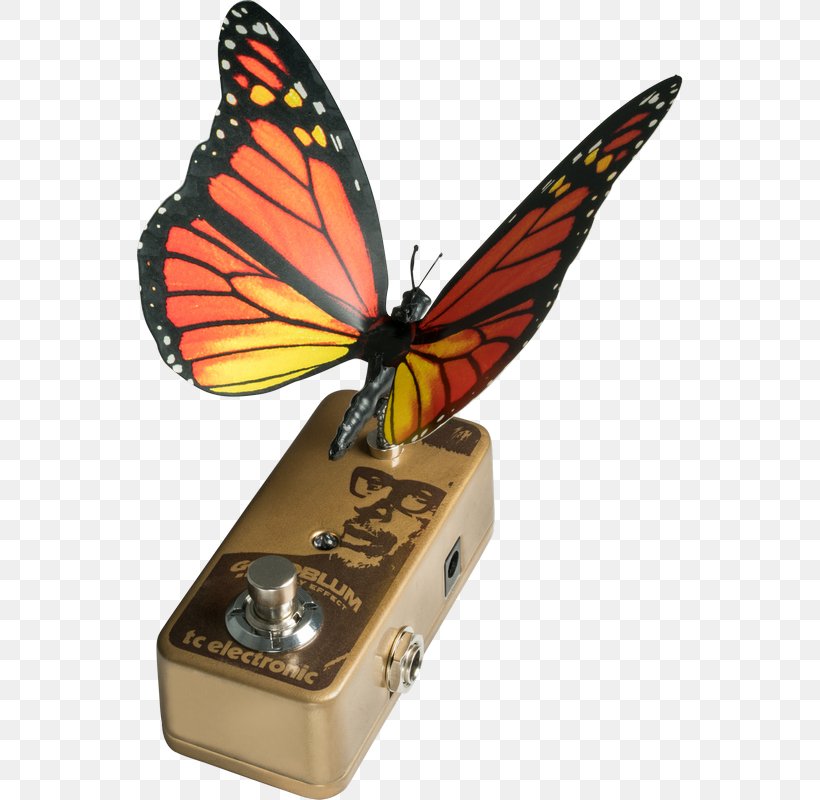 Effects Processors & Pedals Monarch Butterfly TC Electronic Flanging Phaser, PNG, 546x800px, Effects Processors Pedals, Arthropod, Boss Ch1 Super Chorus, Boss Corporation, Brush Footed Butterfly Download Free