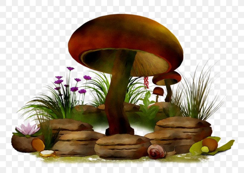 Clip Art Mushroom Image Fungus, PNG, 1024x725px, Mushroom, Agaricaceae, Agaricomycetes, Agaricus, Amanita Download Free