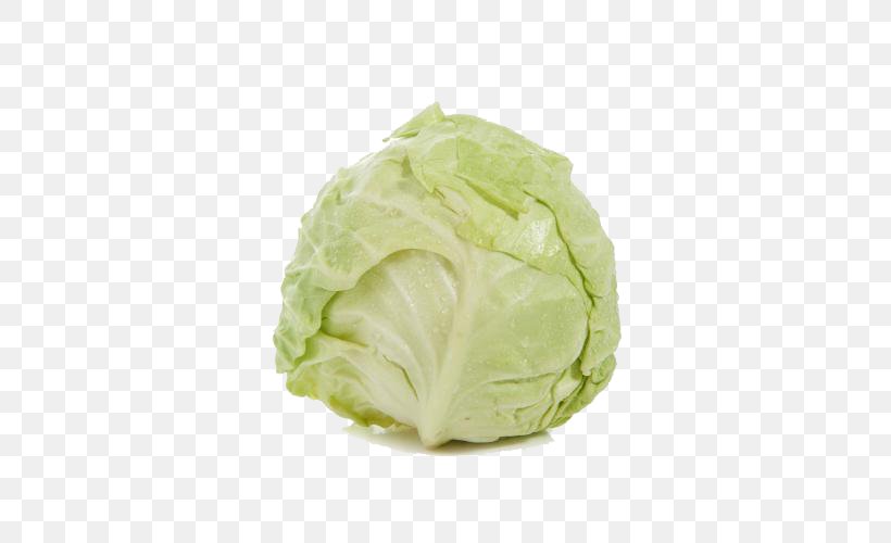 Savoy Cabbage, PNG, 500x500px, Cabbage, Brassica Oleracea, Cruciferous Vegetables, Food, Information Download Free