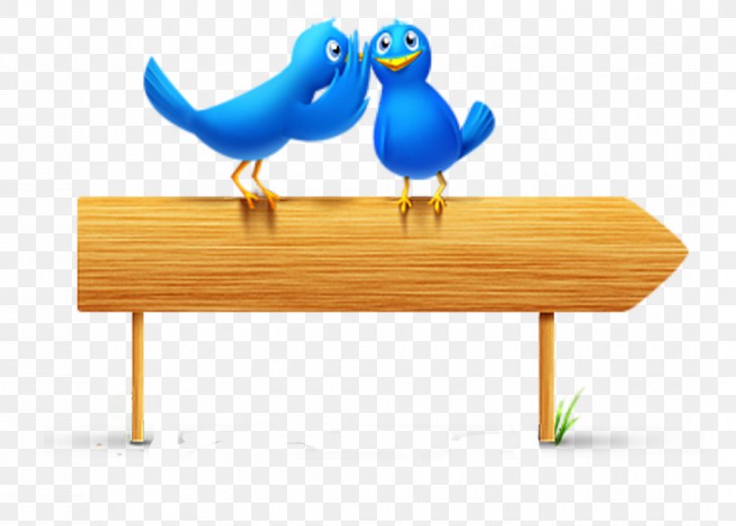 Social Media Motivation Marketing Love Customer, PNG, 1057x756px, Social Media, Beak, Bird, Customer, Furniture Download Free