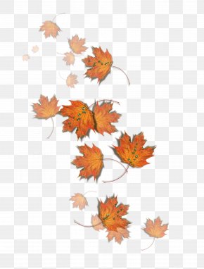 Autumn - Autumn Fungus Leaf Pileus PNG