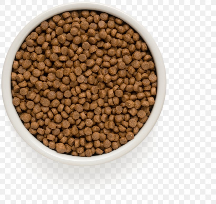 Puppy Cat Dog Food Sheep, PNG, 1100x1041px, Puppy, Bean, Breed, Cat, Commodity Download Free