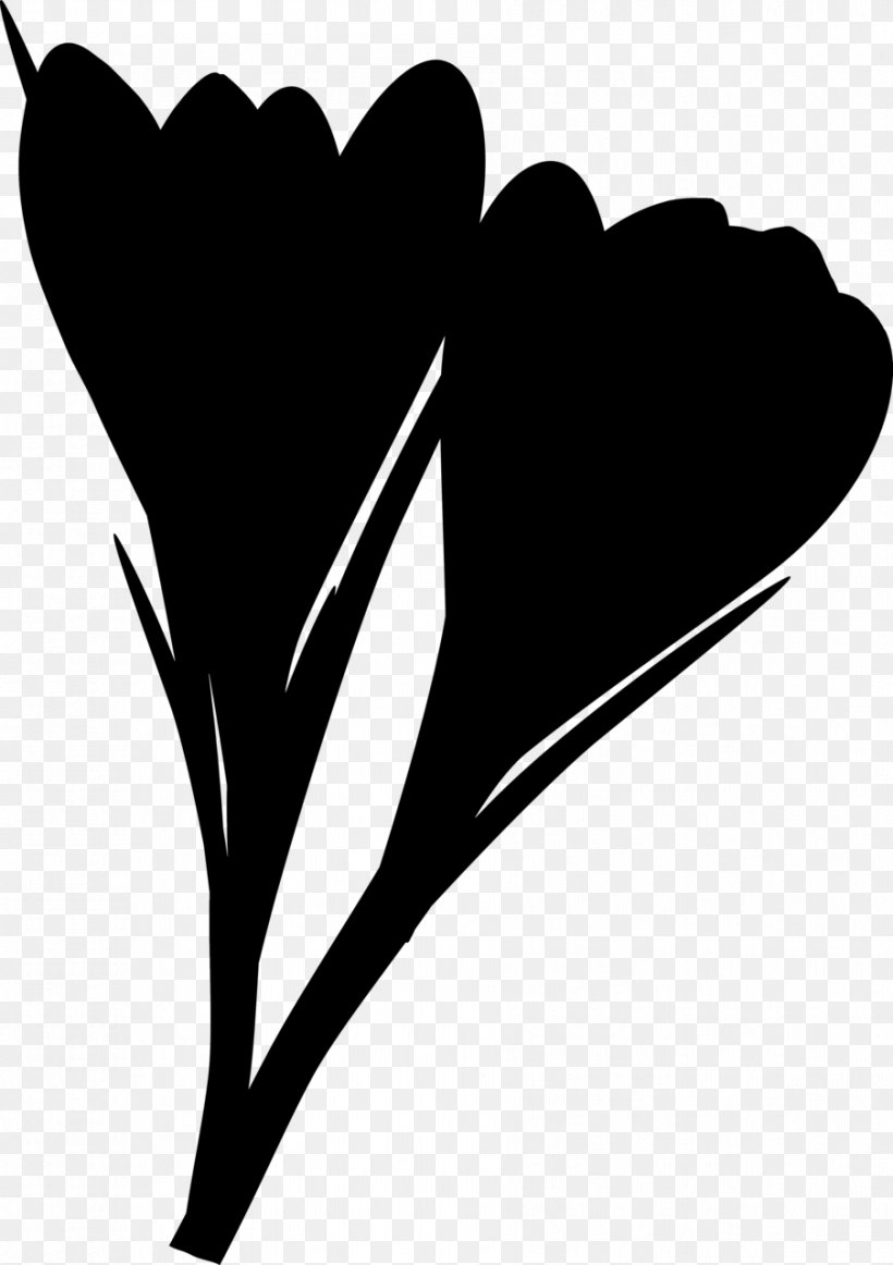 Clip Art Leaf Heart Flowering Plant Branching, PNG, 903x1280px, Leaf, Blackandwhite, Branching, Flowering Plant, Heart Download Free