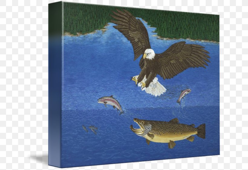 Eagle Beak Rainbow Trout, PNG, 650x563px, Eagle, Beak, Bird, Bird Of Prey, Fauna Download Free