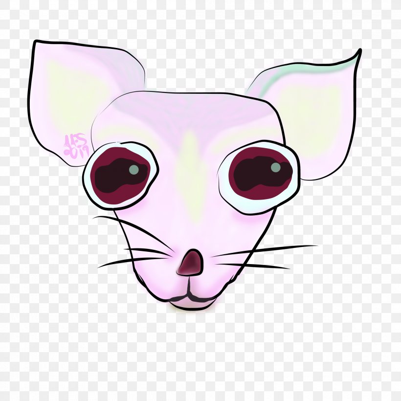 Kitten Cartoon, PNG, 2100x2100px, Whiskers, Animation, Cartoon, Cat, Character Download Free