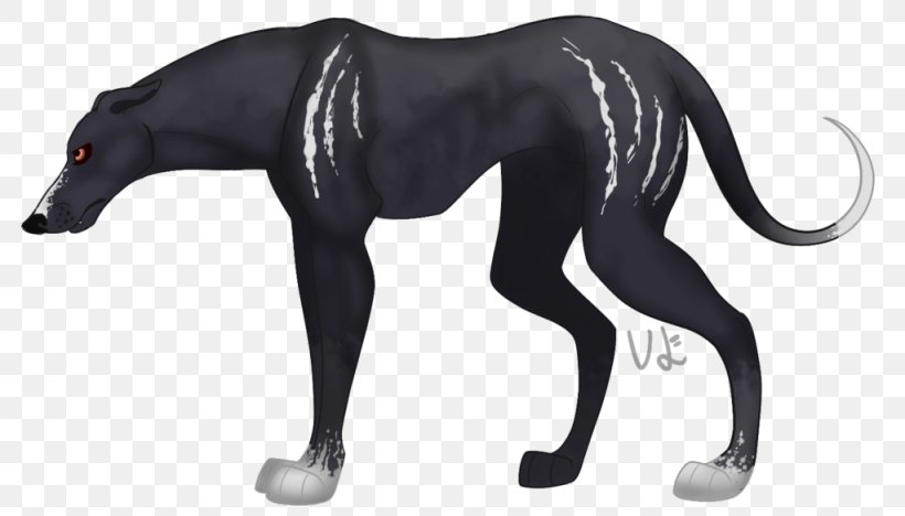 Canidae Cat Dog Neck, PNG, 1024x585px, Canidae, Black, Black M, Carnivoran, Cat Download Free