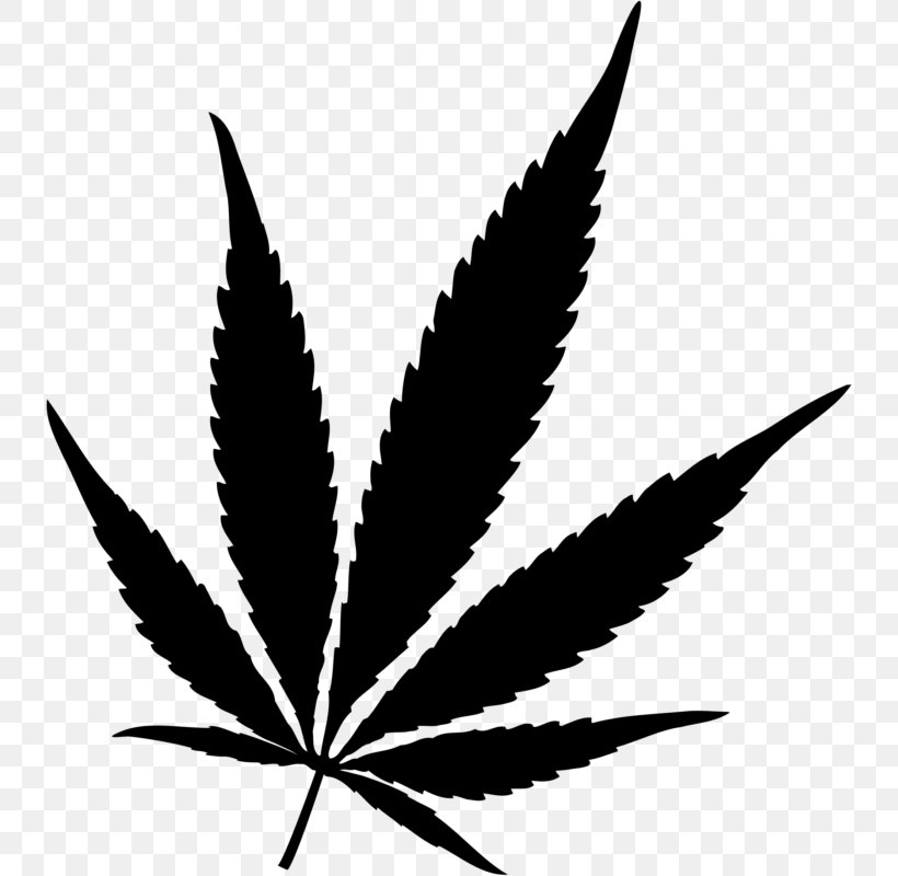 Cannabis Sativa Cannabis Smoking Hash Oil Medical Cannabis, PNG, 737x800px, 420 Day, Cannabis, Black And White, Cannabis Sativa, Cannabis Smoking Download Free