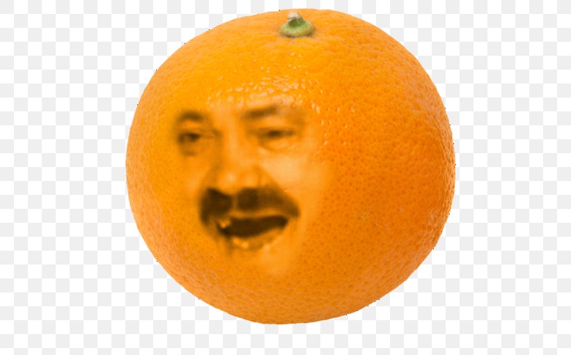 Clementine Tangerine Mandarin Orange Valencia Orange, PNG, 680x510px, Clementine, Citrus, Cucurbita, Food, Fruit Download Free