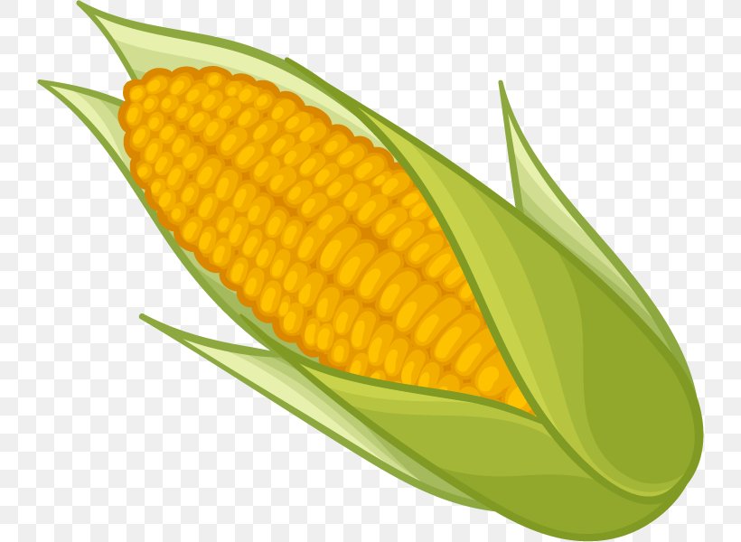 Corn On The Cob Maize Sweet Corn Clip Art, PNG, 738x600px, Corn On The Cob, Commodity, Corncob, Food, Fruit Download Free