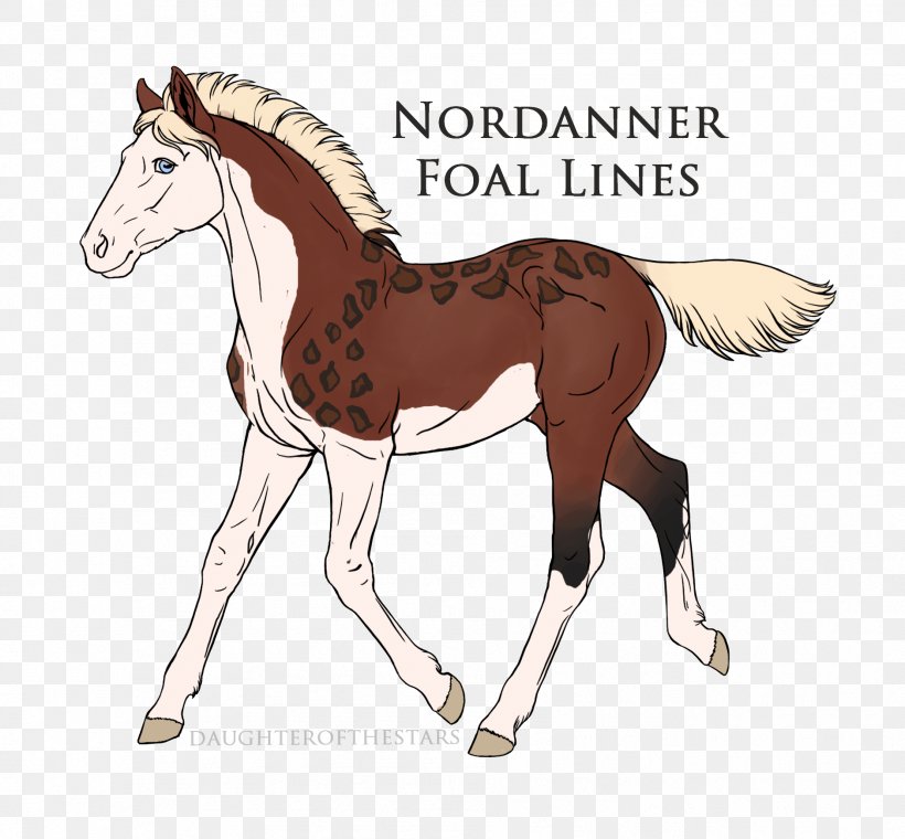 Mane Foal Mustang Stallion Colt, PNG, 1881x1745px, Mane, Animal Figure, Bridle, Cartoon, Colt Download Free