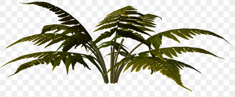 Arecaceae 2016 Nissan LEAF Polyvore Clip Art, PNG, 2267x944px, 2016 Nissan Leaf, Arecaceae, Arecales, Dialysis, Leaf Download Free