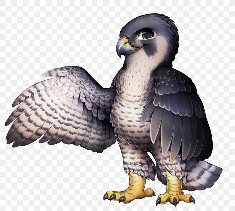 Bird Of Prey The Peregrine Falcon, PNG, 2059x1852px, Bird, Accipitriformes, Animal, Beak, Bird Of Prey Download Free