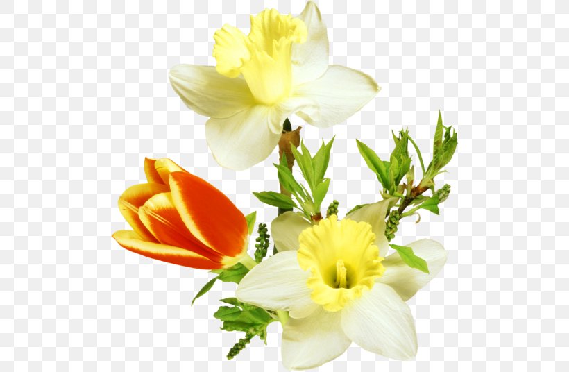 Floral Design Flower Arranging Petal, PNG, 500x536px, Flower, Blog, Cut Flowers, Daffodil, Floral Design Download Free