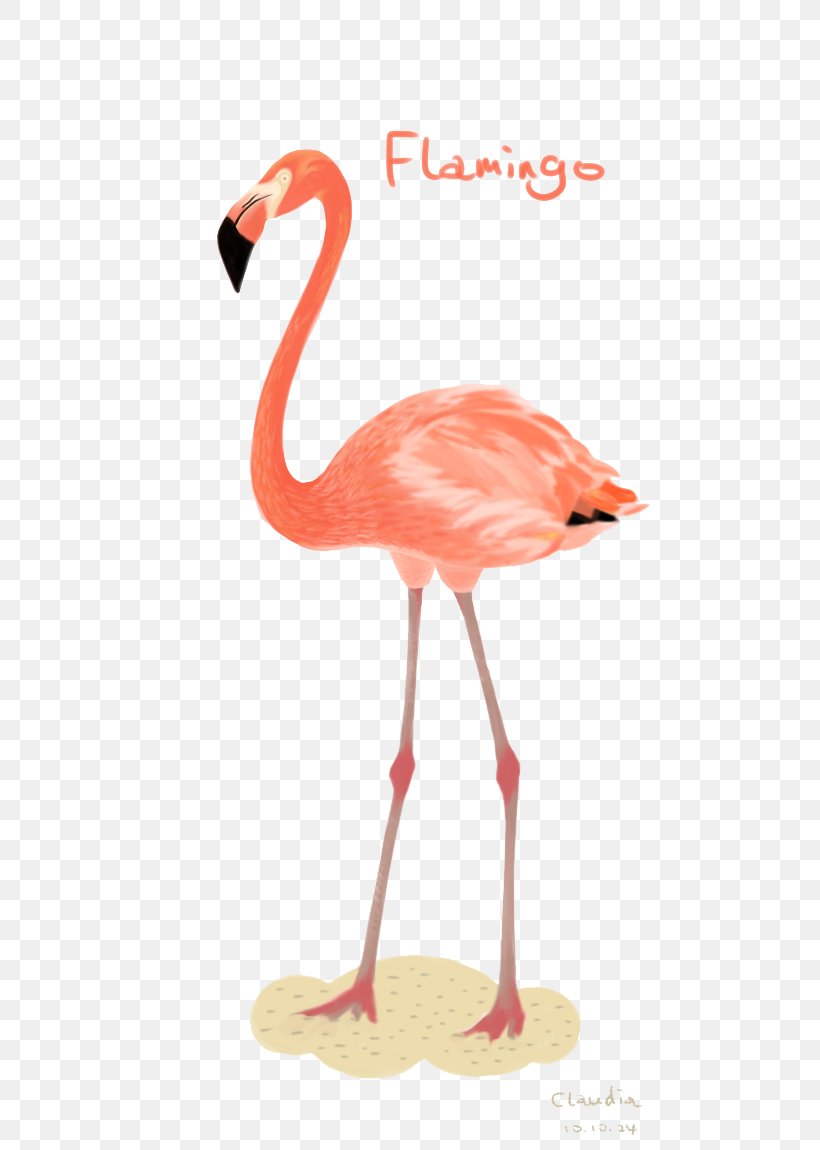 Flamingos Bird Illustration, PNG, 560x1150px, Bird, Beak, Drawing, Flamingo, Flamingos Download Free