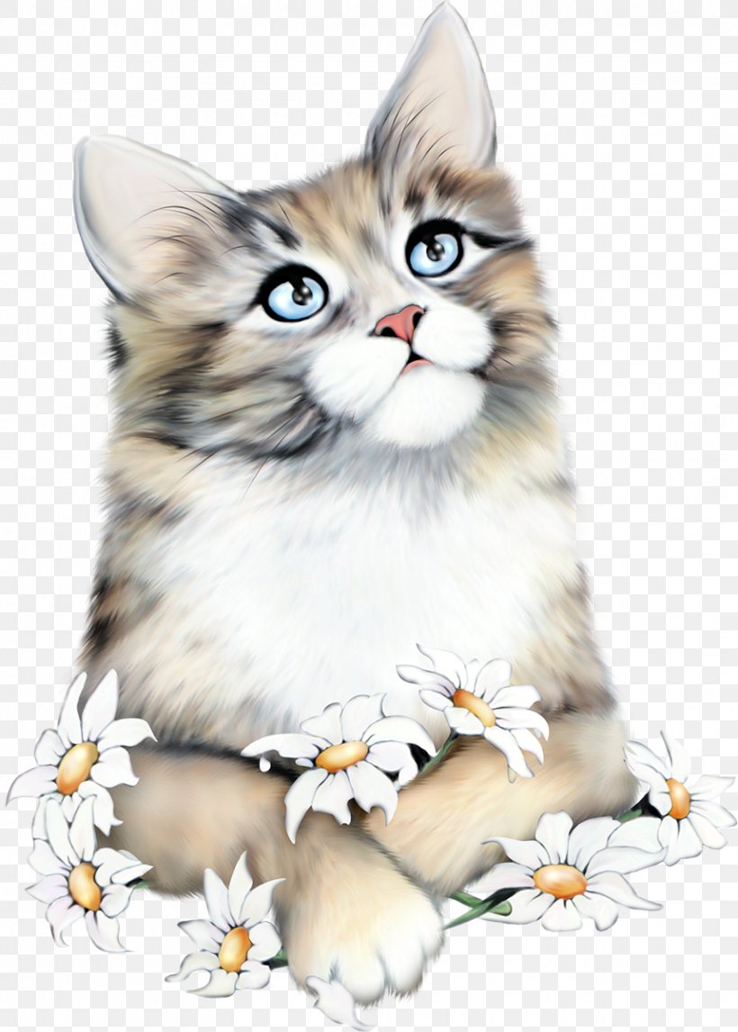 Why Paint Cats Kitten Clip Art Image, PNG, 858x1200px, Cat, American Wirehair, Art, Carnivoran, Cat Like Mammal Download Free
