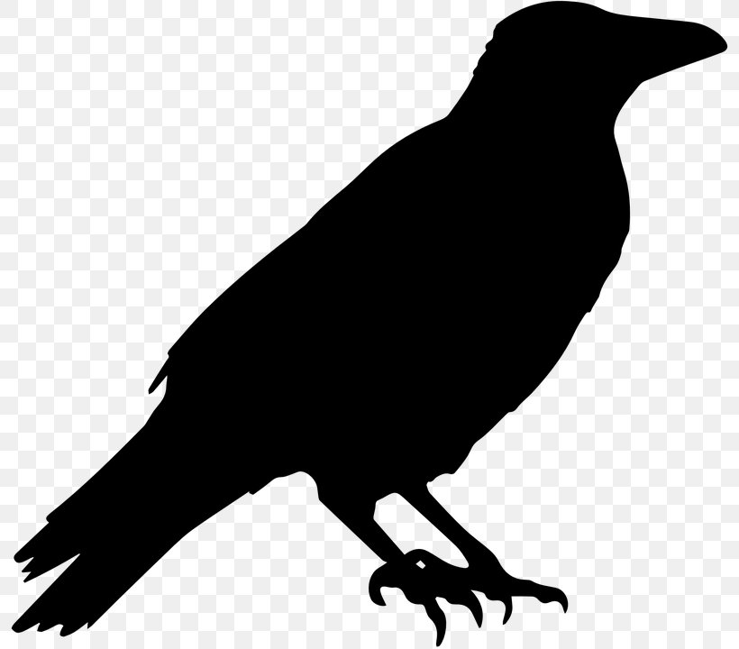 American Crow Silhouette Bird Clip Art, PNG, 798x720px, American Crow, Art, Beak, Bird, Black And White Download Free