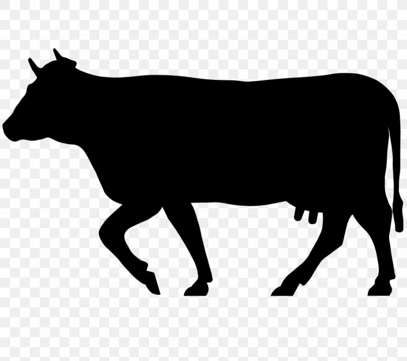 Beef Cattle Holstein Friesian Cattle Jersey Cattle Highland Cattle Ox, PNG, 864x768px, Beef Cattle, Black And White, Bull, Cattle, Cattle Like Mammal Download Free