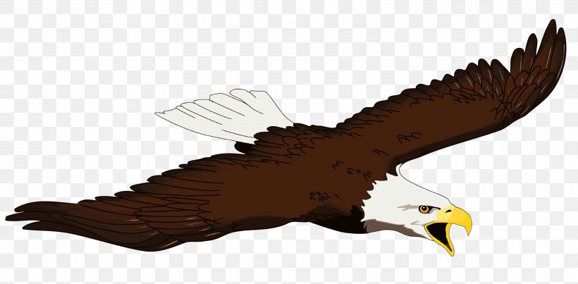 Bald Eagle Bird Beak Clip Art, PNG, 3407x1678px, Bald Eagle, Accipitridae, Accipitriformes, Andean Condor, Animal Figure Download Free