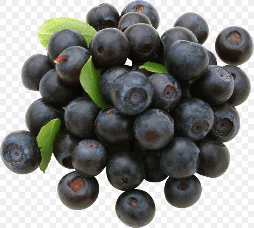 Blueberry Bilberry Huckleberry Cranberry, PNG, 850x762px, Blueberry, Amazon Grape, Aristotelia Chilensis, Berry, Bilberry Download Free