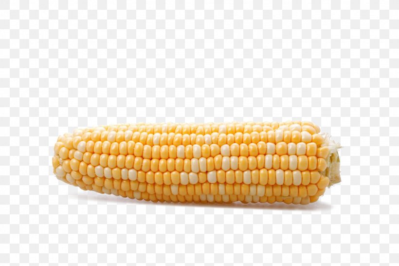Corn On The Cob Waxy Corn Sweet Corn Food, PNG, 1024x683px, Corn On The Cob, Commodity, Corn Kernel, Corn Kernels, Crop Download Free