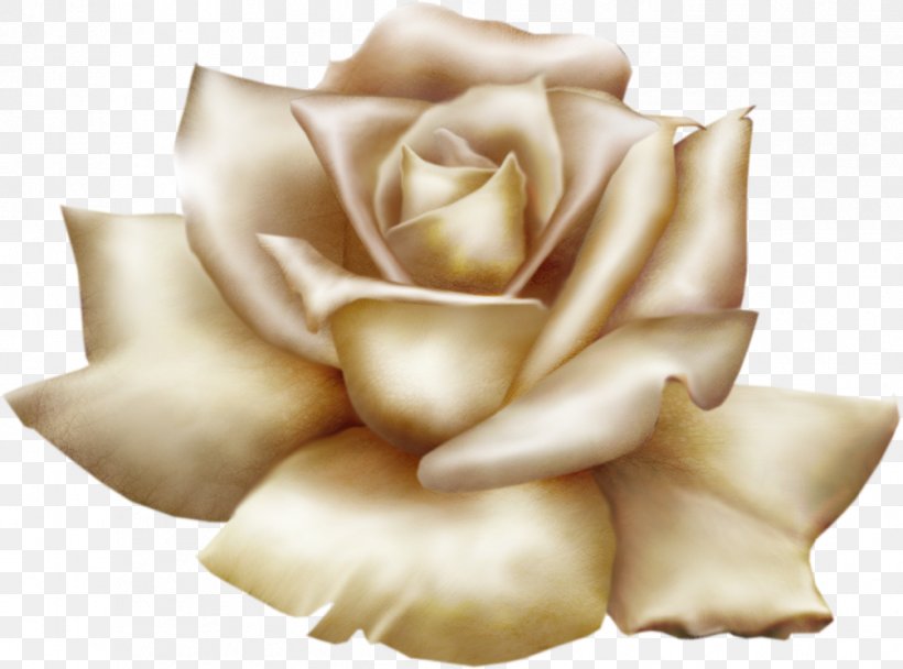 Flower Garden Roses Clip Art, PNG, 1005x746px, Flower, Blue, Blue Rose, Color, Cut Flowers Download Free