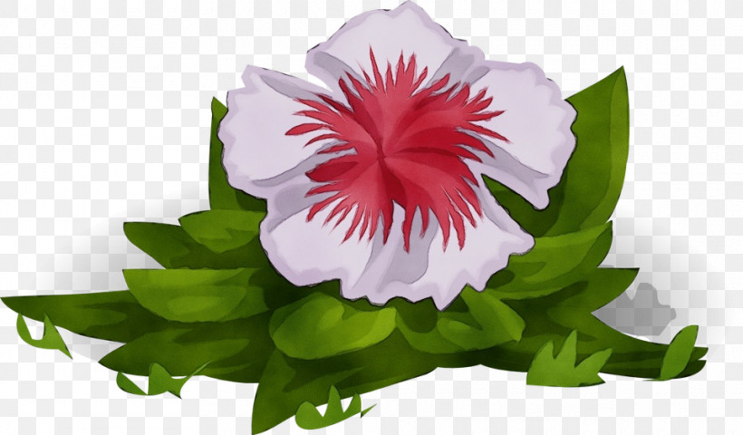 Flower Petal Plant Pink Morning Glory, PNG, 960x563px, Watercolor, Flower, Morning Glory, Paint, Petal Download Free