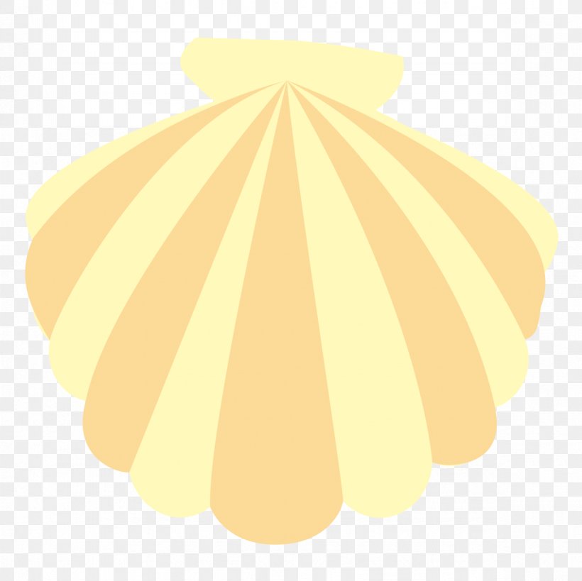 Yellow Seashell Illustration Color Green, PNG, 1181x1181px, Yellow, Blue, Color, Green, Orange Download Free