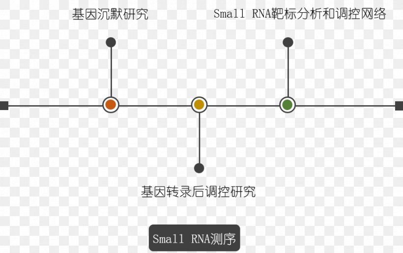 上海其明信息技术有限公司 Biology MicroRNA Transcription, PNG, 918x577px, Biology, Area, Cell, Developmental Biology, Diagram Download Free
