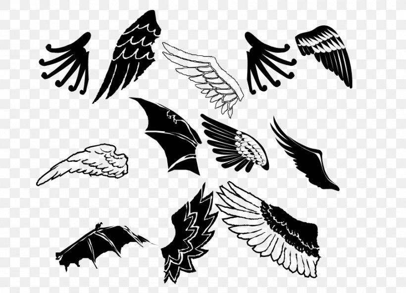 Beak Bird Of Prey Feather Clip Art, PNG, 900x650px, Beak, Bird, Bird Of Prey, Black, Black And White Download Free