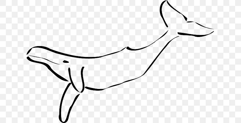 Clip Art Cetaceans Humpback Whale Image, PNG, 640x419px, Cetaceans, Arm, Art, Artwork, Beak Download Free