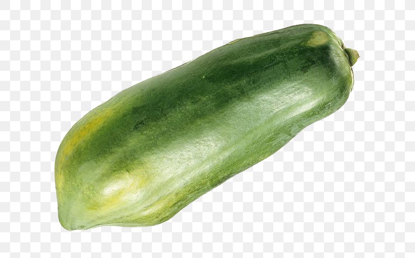 Cucumber Papaya Vegetable Fruit Wax Gourd, PNG, 650x511px, Cucumber, Coconut, Cucumber Gourd And Melon Family, Cucumis, Food Download Free