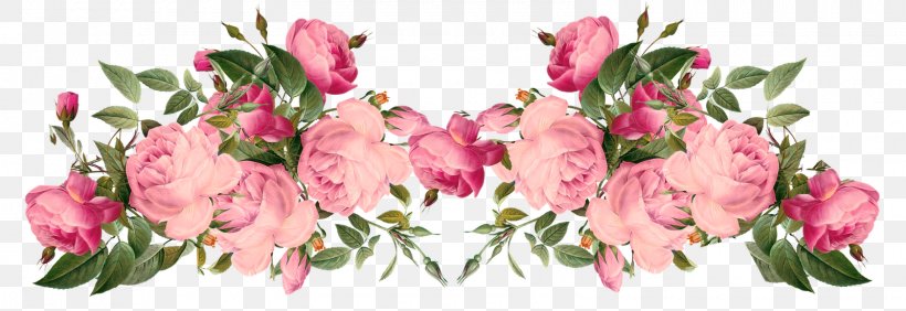 Flower Rose Pink Clip Art, PNG, 1600x551px, Flower, Blue, Blue Rose, Copyright, Cut Flowers Download Free