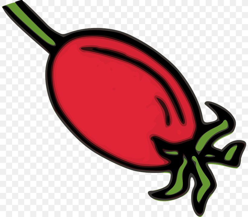 Rose Hip Clip Art, PNG, 808x720px, Rose Hip, Artwork, Ball And Socket Joint, Food, Herb Download Free